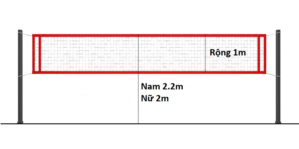 chiều cao lưới bóng chuyền hơi